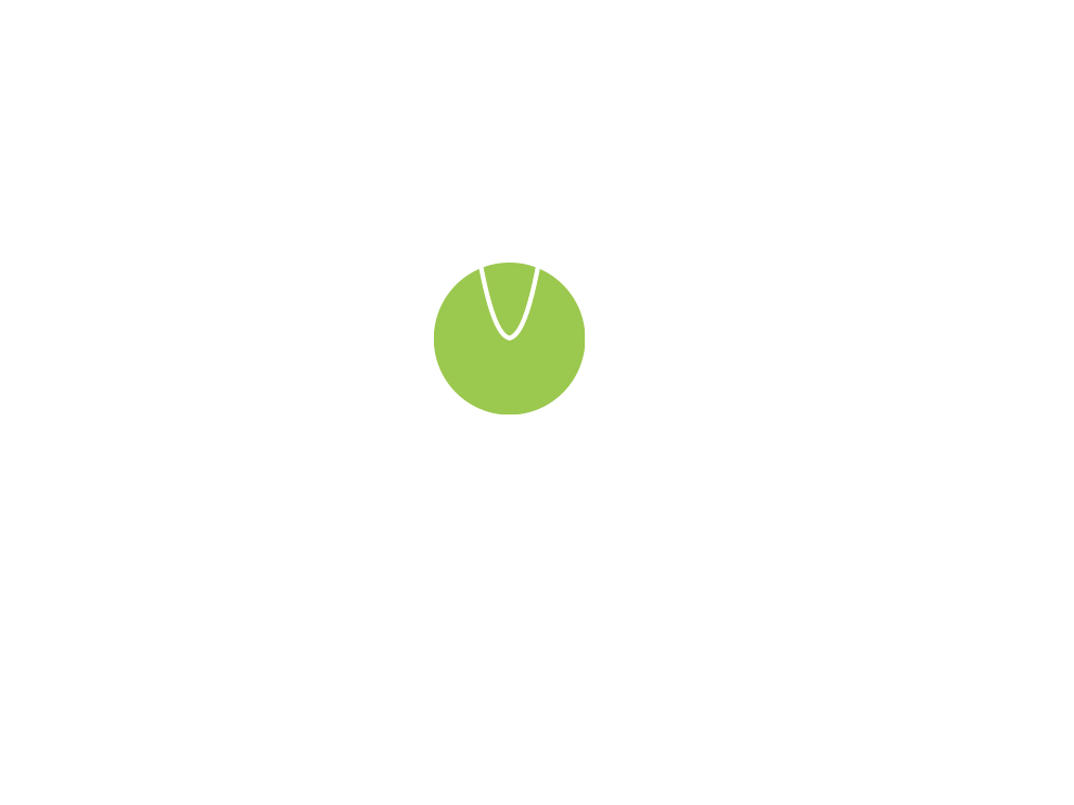 ARLINA - Institute for Applied Future